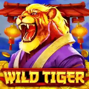 Wild Tiger by BGAMING, showcased at alf-casino.de – game logo